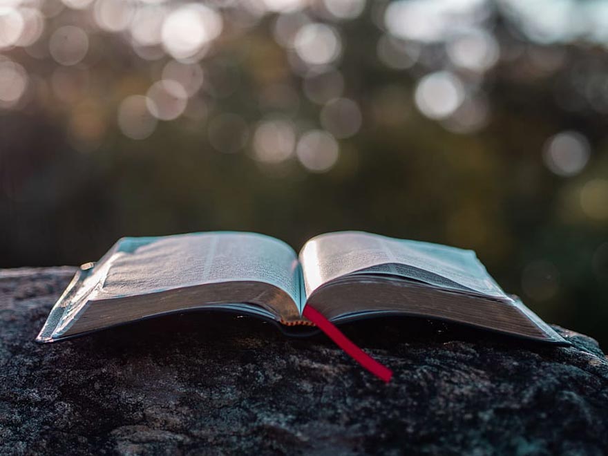 3 Biblical Principles That Will Help You Live A Successful Life
