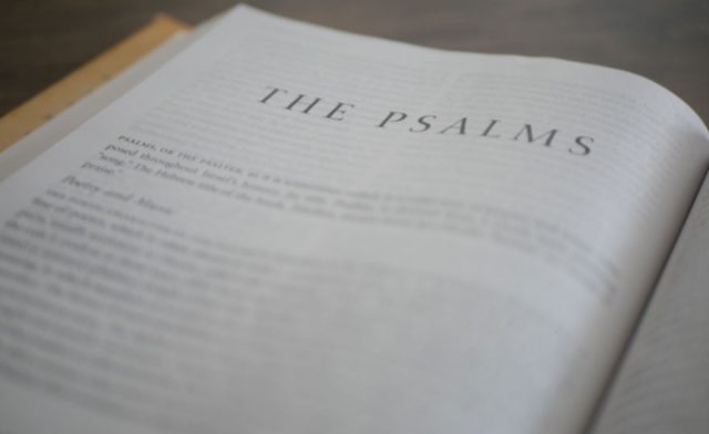 3 Life Lessons From Psalms 1